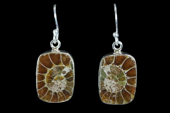 Fossil Ammonite Earrings - Sterling Silver #81639